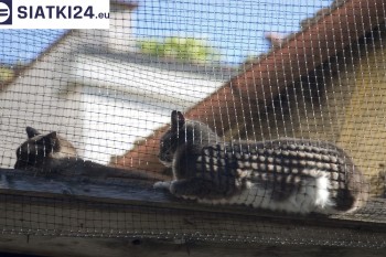 Siatki Pisz - Siatka na balkony dla kota i zabezpieczenie dzieci dla terenów Miasta Pisz