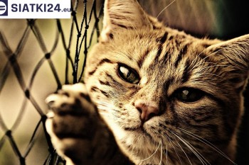 Siatki Pisz - Siatki na balkony - zabezpieczenie dzieci i zwierząt dla terenów Miasta Pisz