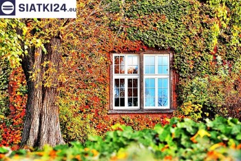 Siatki Pisz - Siatka wspomagająca wzrost roślin pnących na ścianie dla terenów Miasta Pisz
